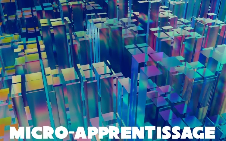 Micro-Apprentissage