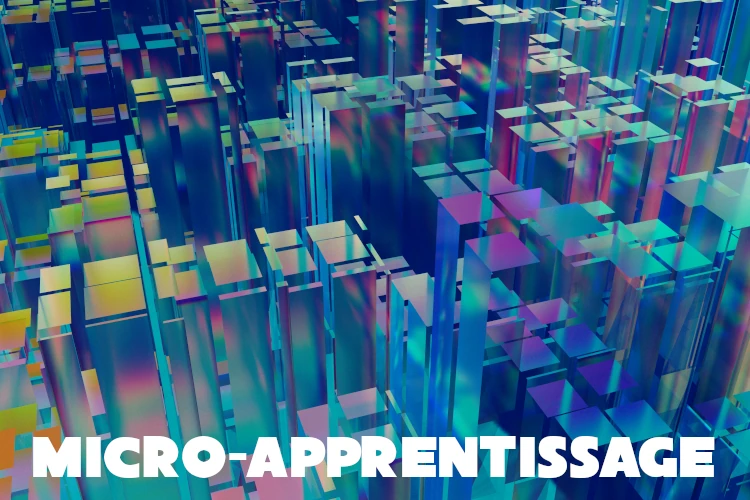 Micro-Apprentissage